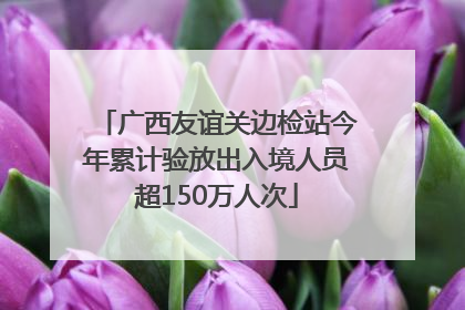 广西友谊关边检站今年累计验放出入境人员超150万人次