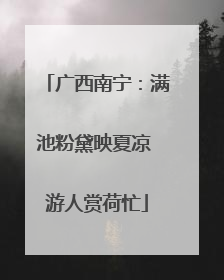 广西南宁：满池粉黛映夏凉 游人赏荷忙