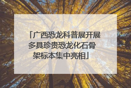 广西恐龙科普展开展 多具珍贵恐龙化石骨架标本集中亮相
