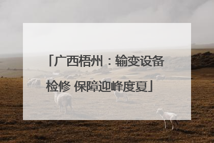 广西梧州：输变设备检修 保障迎峰度夏
