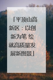 平顶山高新区：以创新为笔 绘就高质量发展新图景