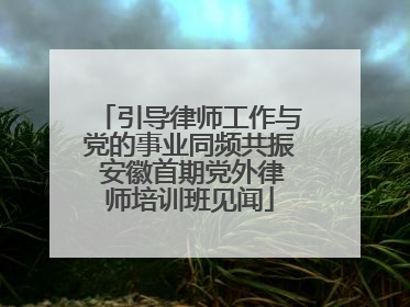 引导律师工作与党的事业同频共振 安徽首期党外律师培训班见闻