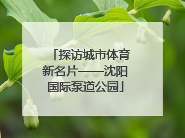 探访城市体育新名片——沈阳国际泵道公园