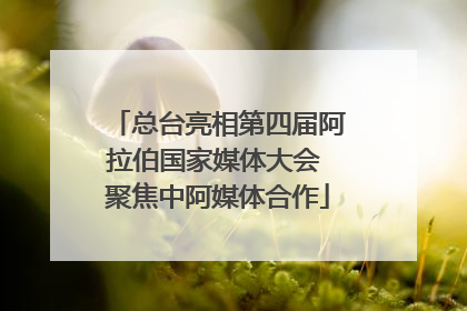 总台亮相第四届阿拉伯国家媒体大会 聚焦中阿媒体合作