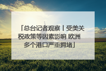 总台记者观察丨受美关税政策等因素影响 欧洲多个港口严重拥堵