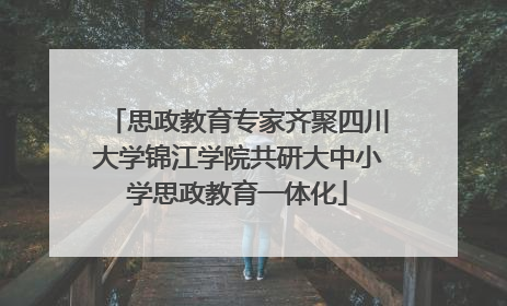 思政教育专家齐聚四川大学锦江学院共研大中小学思政教育一体化