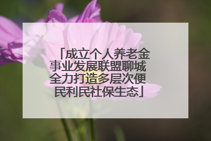 成立个人养老金事业发展联盟聊城全力打造多层次便民利民社保生态