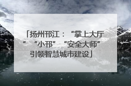 扬州邗江：“掌上大厅”“小邗”“安全大师”引领智慧城市建设
