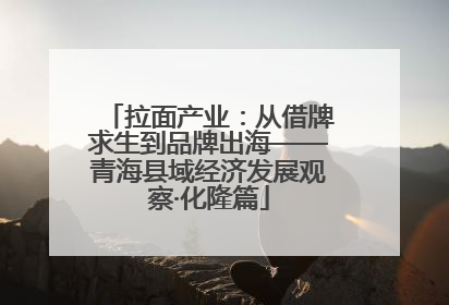 拉面产业：从借牌求生到品牌出海——青海县域经济发展观察·化隆篇