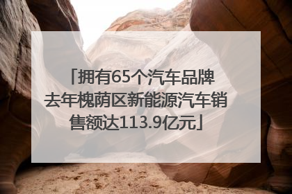 拥有65个汽车品牌 去年槐荫区新能源汽车销售额达113.9亿元