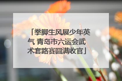 拳脚生风展少年英气 青岛市六运会武术套路赛圆满收官