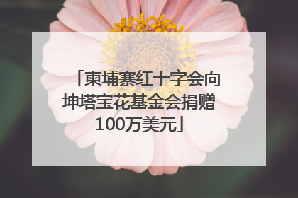 柬埔寨红十字会向坤塔宝花基金会捐赠100万美元