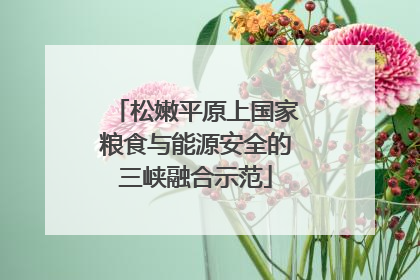 松嫩平原上国家粮食与能源安全的三峡融合示范