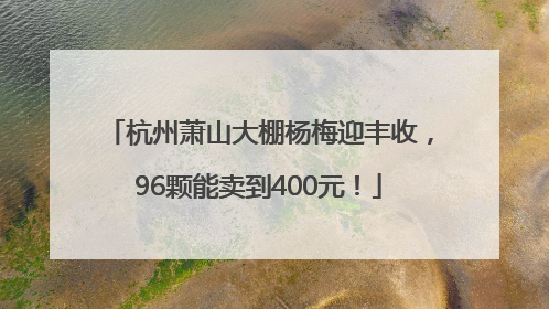 杭州萧山大棚杨梅迎丰收，96颗能卖到400元！