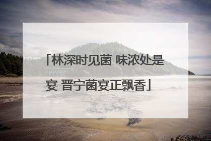 林深时见菌 味浓处是宴 晋宁菌宴正飘香