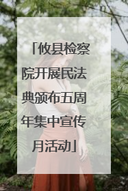 攸县检察院开展民法典颁布五周年集中宣传月活动