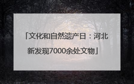 文化和自然遗产日：河北新发现7000余处文物