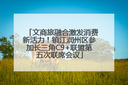 文商旅融合激发消费新活力！镇江润州区参加长三角C9+联盟第五次联席会议