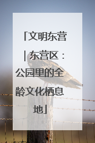 文明东营｜东营区：公园里的全龄文化栖息地