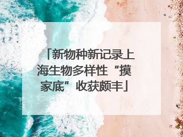 新物种新记录上海生物多样性“摸家底”收获颇丰