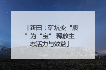 新田：矿坑变“废”为“宝” 释放生态活力与效益