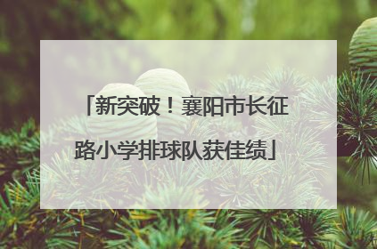 新突破！襄阳市长征路小学排球队获佳绩