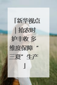 新华视点｜抢农时 护丰收 多维度保障“三夏”生产