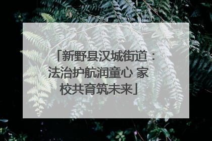 新野县汉城街道：法治护航润童心 家校共育筑未来