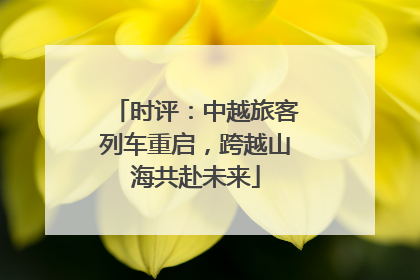 时评：中越旅客列车重启，跨越山海共赴未来