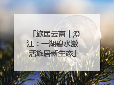 旅居云南｜澄江：一湖碧水激活旅居新生态