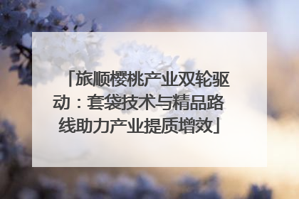 旅顺樱桃产业双轮驱动：套袋技术与精品路线助力产业提质增效