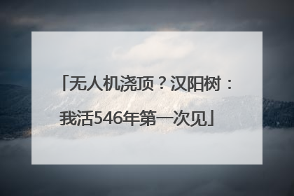 无人机浇顶？汉阳树：我活546年第一次见