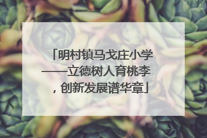 明村镇马戈庄小学——立德树人育桃李，创新发展谱华章