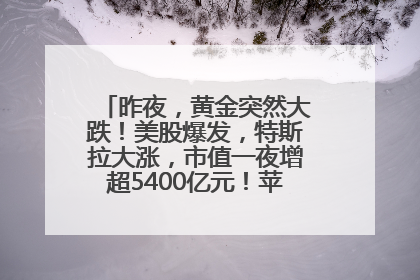 昨夜，黄金突然大跌！美股爆发，特斯拉大涨，市值一夜增超5400亿元！苹果传来大消息