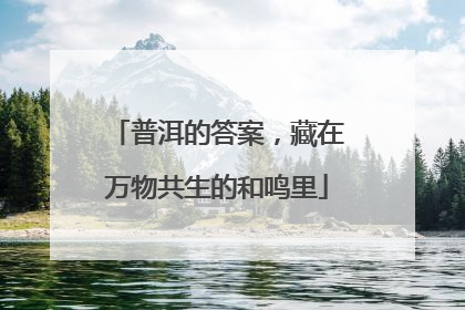 普洱的答案，藏在万物共生的和鸣里