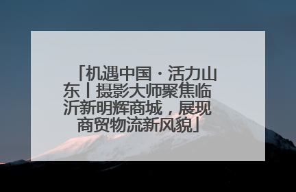 机遇中国・活力山东丨摄影大师聚焦临沂新明辉商城，展现商贸物流新风貌