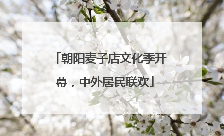 朝阳麦子店文化季开幕，中外居民联欢