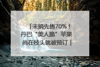 未摘先售70%！丹巴“美人脆”苹果尚在枝头就被预订｜长征路上看四川