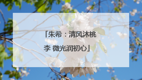 朱希：清风沐桃李 微光润初心