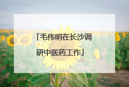 毛伟明在长沙调研中医药工作