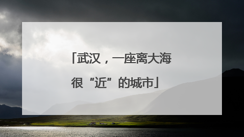 武汉，一座离大海很“近”的城市