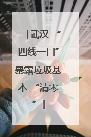 武汉 “四线一口”暴露垃圾基本 “清零”