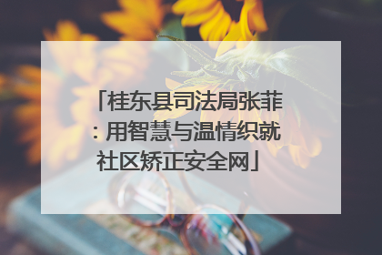 桂东县司法局张菲：用智慧与温情织就社区矫正安全网