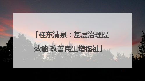 桂东清泉：基层治理提效能 改善民生增福祉
