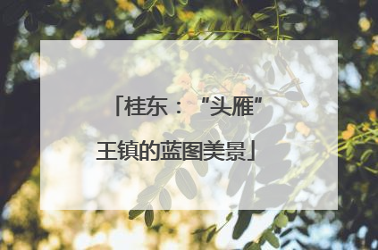 桂东：“头雁”王镇的蓝图美景