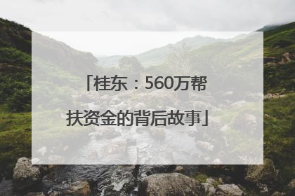 桂东：560万帮扶资金的背后故事