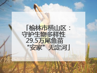 榆林市横山区：守护生物多样性 29.5万尾鱼苗“安家”无定河