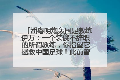 潘粤明炮轰国足教练伊万：一个装傻不辞职的所谓教练，你指望它拯救中国足球！此前曾多次发文评价国足