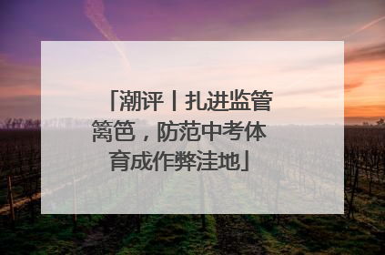 潮评丨扎进监管篱笆，防范中考体育成作弊洼地