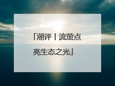 潮评丨流萤点亮生态之光